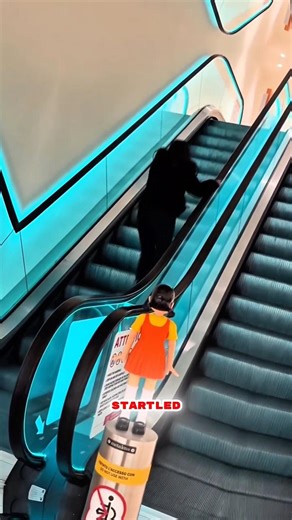 Squid Game Doll Prank on Escalator... She LOST IT! 😱😂 #viral