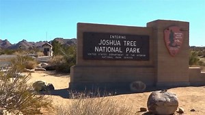Joshua Tree National Park closes in response to incoming storm