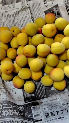 Why is ripening necessary when pickling plums? #plumwork #pickledplums #shorts