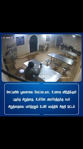 59K views · 116 reactions | follow @mysalem.city for daily updates #salem #ooty #tamilnadu #animal #trending #love #travel #fun | My Salem City | Facebook