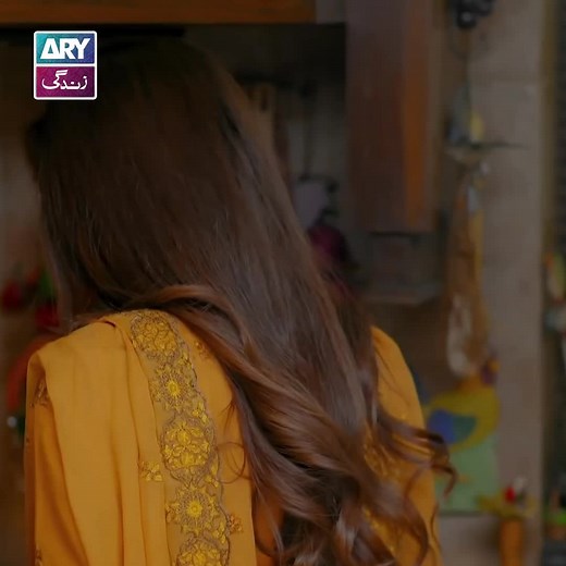 Watch Drama Serial Amanat on ARY Zindagi