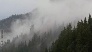 foggy landscape with moving fog