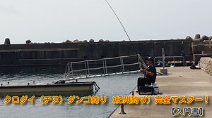 クロダイ（チヌ）ダンゴ釣り（紀州釣り）完全マスター！【入門書】 | 釣り情報 松前屋