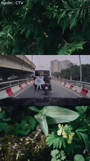 thanh niên chạy vào đường ô tô rùi tự ngã | anh tài xế vlog review