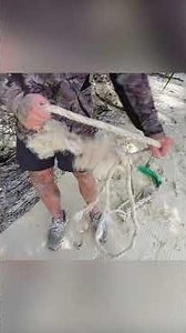 SCAVENGING ROPE TO GET COCONUT