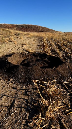 2M views · 24K reactions | This badger messed up the set pretty bad but the farmer was happy | Fur Life TV | Facebook