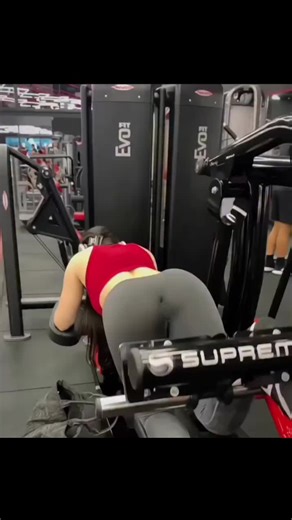 Gym Essentials for Fitness Enthusiasts