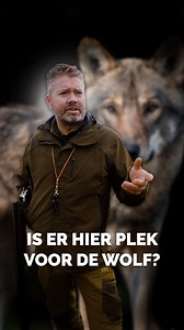 1.2K reactions · 365 shares | De wolf is terug en dat is steeds duidelijker te merken; in het nieuws, op het erf en deze week zelfs langs de snelweg. Jager Bjorn vertelt waarom de groeiende populatie ook vragen oproept. Vind jij dat de wolf in Nederland hoort?  | Boeren Buren | Facebook