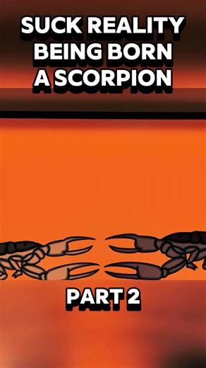 Life as a Scorpion - Part 2 #ScorpionLife #NatureIsBrutal #SurvivalOfTheFittest #Wildlife #AnimalFacts #DeadlyCreatures #InsectWars #PredatorVsPrey #MindBlowing #CrazyNature 🔥 Life as a Scorpion 🔥 From birth, every step is a battle for survival. 🦂 Watch as this tiny predator faces deadly threats—from hungry birds to venomous battles, fierce centipedes, and even ruthless humans! Will it make it to adulthood? Or will nature claim another victim? 🌎💀 👉 You won’t believe what happens at the end