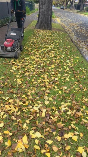 Ever used a mower as a vacuum? 🤔🌀