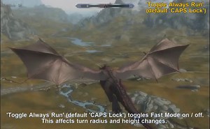 Intuitive Dragon Ride Control (SE)