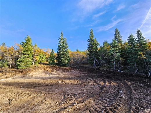 13 Pine Crest Dr #13, Mount Pleasant, UT 84647 - MLS 2147468 - Coldwell Banker