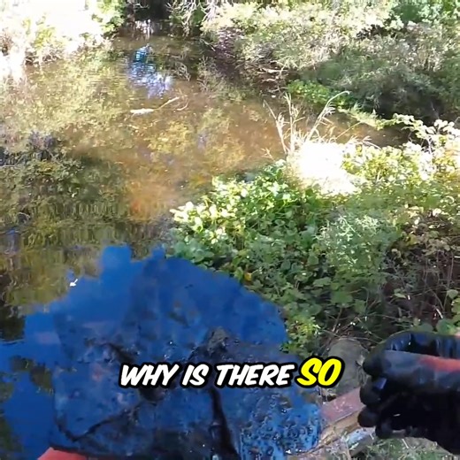 Unexpected Finds at Abandoned Road! 🧲✨ #magnetfishing | The Fisher