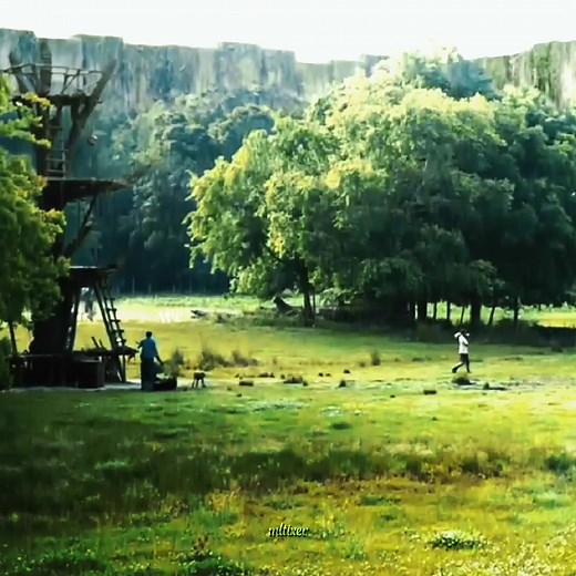 Exploring The Glade in The Maze Runner