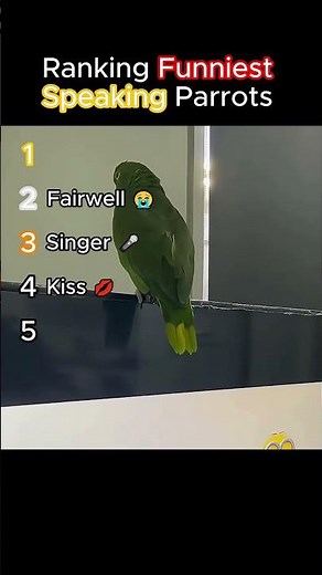 Top 5 Funniest Talking Parrots 💀