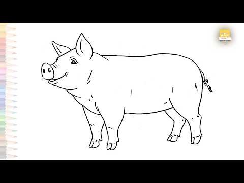 Pig drawing easy #14 | Animal outline drawings | How to draw A Pig step by step simply | #artjanag
