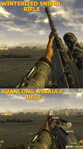 Gun and Friends : winterized sniper rifle and zuanlong assault rifle