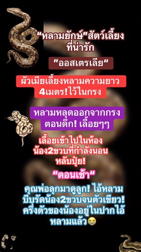 995 reactions · 26 shares | คุณพ่อ กับคุณแม่ ร้องเสียงหลงเลย ( ตอนโทรไปหาหน่วยฉุกเฉิน) #งูหลาม #งู #งูเหลือม #อันตราย #snakes #burmespython #python #pets #สัตว์เลื้อยคลาน | AJ MJ | Facebook