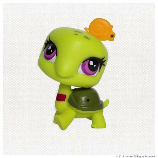 Littlest Pet Shop US | Turtles