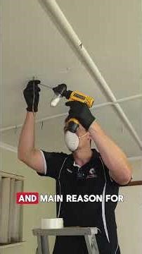 This is what a real termite takeover looks like and how we handle it.