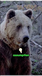 Is Extinction Actually Permanent? The Genetic Truth