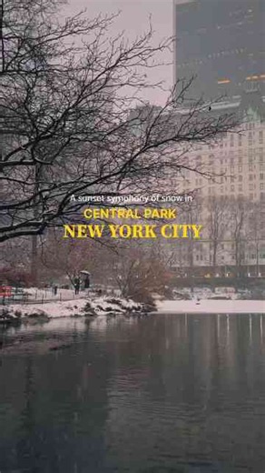A snowy evening walk through Central Park New York