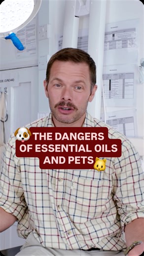 There’s a lot of advice online about using essential oils as flea...