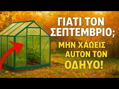 Γιατί οι έξυπνοι κηπουροί σχεδιάζουν το θερμοκήπιό τους τον Σεπτέμβριο; Πλήρης οδηγός από το Α ως τ