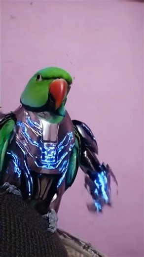 robot parrot 🦜# viral video