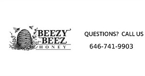 Welcome To Beezy Beez
