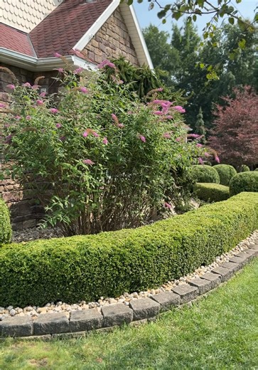 #landscaping #michigan #hanovergardens #landscapinglife #hispanictiktok #trimming #rocks