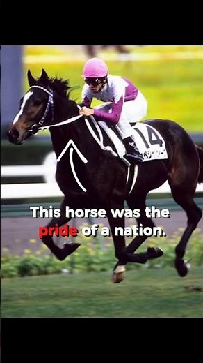 General of Japan: How A Horse Carried the Hopes of A Nation