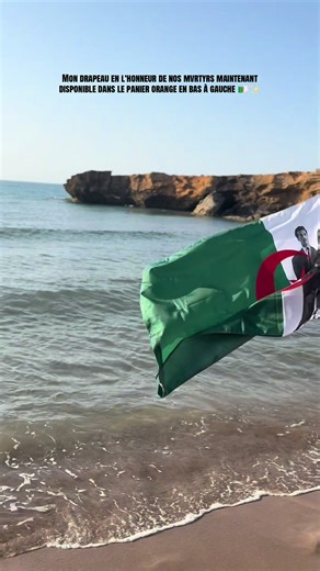 Le plus beau drapeau du monde ✨#pourtoi #tahiadjazair #5juillet1962 #drapeaualgerien #algerie