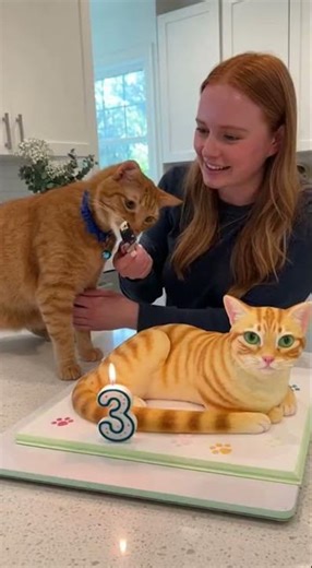 CAT THINKS IT'S BEING CUT! Hilarious Birthday Cake Fail 😂