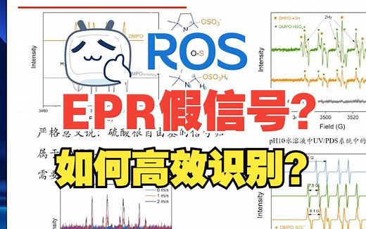 【高级氧化AOP】EPR如何高效识别ROS自由基？Water Res.