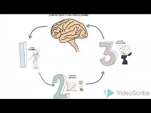 Cognitive Theory of Multimedia Learning