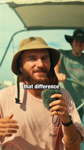 Sail Twist in Light Wind: Why MORE Twist = MORE Power