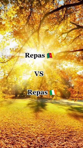 Culinary Journey: Dishes From Around the World