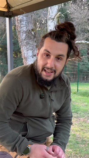 Il tuo cane NON ha bisogno di più coccole. Ha bisogno di imparare a giocare con te. La maggior parte dei proprietari gioca nel modo sbagliato, rinforzando frustrazione, possessività e perdita di autocontrollo senza nemmeno rendersene conto. Per questo ho creato Gioco a Sei Zampe: il video corso che ti insegna a usare il gioco per costruire relazione, collaborazione e autocontrollo nel tuo cane. Centinaia di proprietari lo hanno già completato migliorando radicalmente il rapporto col proprio cane