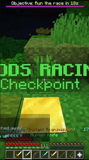 Fastest woods race #minecraft #hypixelskyblock