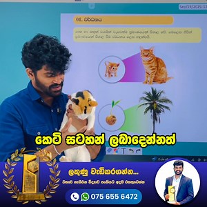 1.9K reactions · 92 shares | ❗️විද්‍යාවට ලකුණු අඩුද? එහෙනම් වැඩිම...