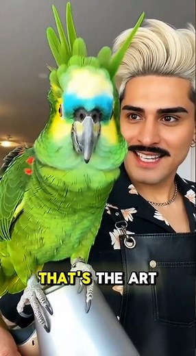 Parrot gets a PUNK ROCK Hairstyle! 🎸🦜
