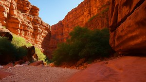 Havasupai Falls Full Hike