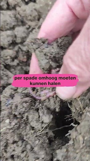 Rootsum | Hoeveel REGENWORMEN heb je per schep nodig?