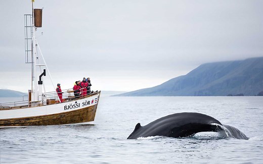 These Are the Best Times to Visit Iceland