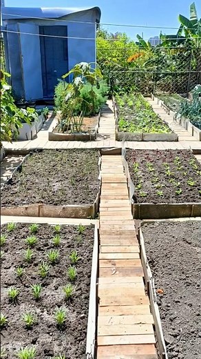 using free materials to build a cabin 建造小木屋/無料な材料で木小屋を建て 菜園 #garden #greenhouse #gardendesign