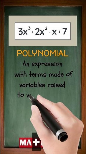 What is a Polynomial in Math? | Easy Explanation You’ll Never Forget!