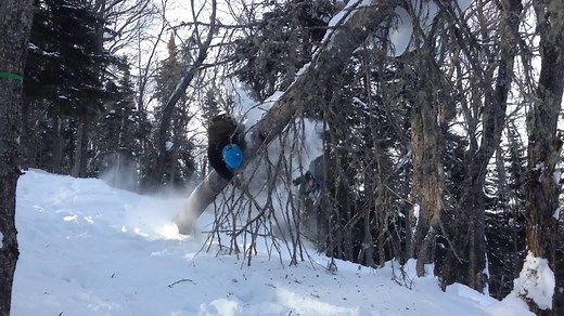 Why don't you make like a tree and get out of here? | FailArmy