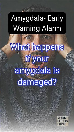 What happens if your amygdala is damaged?