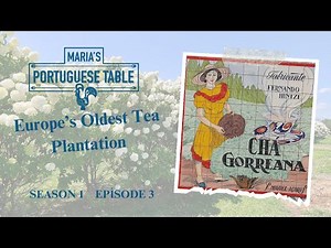 S1E3: Maia & Vila Franca- Tea & Pastries - Azorean Green Bean
